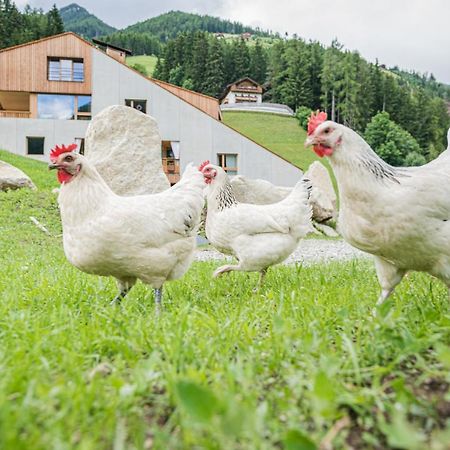 Koasa-Hof Ganzes Ferienhaus Und Sauna 5 Zimmer 240Mq Cadipietra Eksteriør bilde